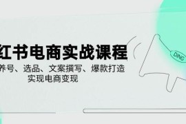 小红书电商实战课程，详解养号、选品、文案撰写、爆款打造，实现电商变现