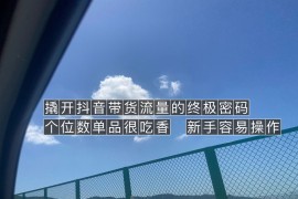 撬开抖音带货流量的终极密码 个位数单品很吃香 新手容易操作