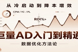 巨量AD入门到精通，含工具、设置、定向、优化等广告投放全流程