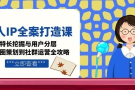 个人IP全案打造课，特长挖掘与用户分层，朋友圈策划到社群运营全攻略