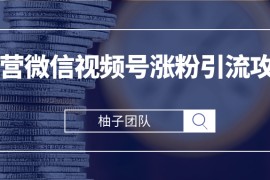 柚子团队内部课程：运营微信视频号涨粉引流攻略，轻松涨粉10W+