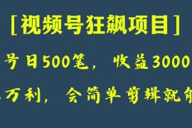 日收款500笔，纯利润3000+，视频号狂飙项目！