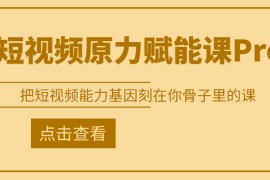 短视频原力赋能课Pro，把短视频能力基因刻在你骨子里的课