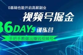 36天手把手教做出赚钱视频号，0基础也能开启高薪副业！