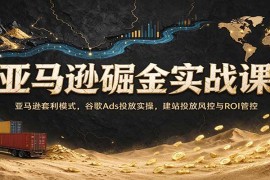 2026亚马逊套利实战全攻略：谷歌Ads投放+建站风控与ROI精细化管控