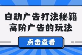 Alice自动广告打法秘籍，高阶广告的玩法