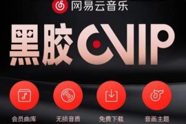 网易云音乐撸黑胶年卡及变现方法，收益可无限放大