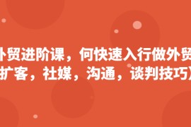 外贸进阶课，帮助你了解如何快速入行做外贸（扩客，社媒，沟通，谈判技巧）更新180节