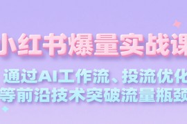 小红书爆量实战课，通过AI工作流、投流优化等前沿技术突破流量瓶颈