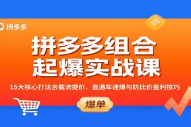 拼多多组合起爆实战课：15大核心打法含截流提价、直通车速爆与防比价盈利技巧