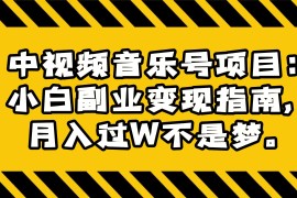 中视频音乐号项目：小白副业变现指南，月入过W不是梦