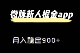 最新微脉长久项目，拉新掘金，月入稳定900+
