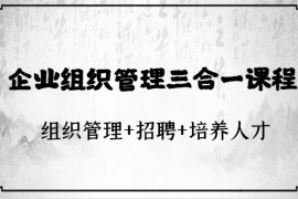 企业组织管理三合一课程：组织管理+招聘+培养人才