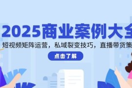 2025商业案例大全，短视频矩阵运营，私域裂变技巧，直播带货策略