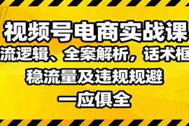 视频号电商实战课：推流逻辑、全案解析，话术框架，稳流量及违规规避等