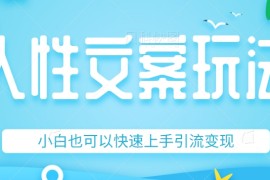 人性文案今日话题详细教程和玩法，精准引流情感粉丝，小白上手也可以日入500+