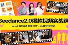 Seedance2.0爆款视频实战课：从入门到精通电商带货，品牌宣传短剧