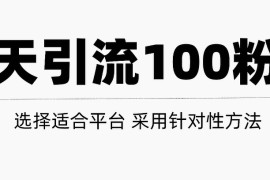 只需要做好这几步，就能让你每天轻松获得100+精准粉丝的方法！【视频教程】