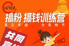 搞粉搞钱.训续营，做“私域”光宗耀祖！但是你不是得先有粉丝吗？真正实战，全是细节