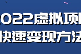 虚拟项目应该如何操作？教你新书快速起店方法！