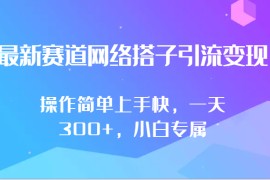最新赛道网络搭子引流变现!!操作简单上手快，一天300+，小白专属