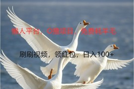 O撸懒人平台，全新手机广告不推广单机100+，刷刷就有捡钱一样， 简单无脑稳定