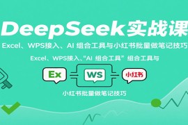 DeepSeek实战课：Excel、WPS接入、AI 组合工具与小红书批量做笔记技巧