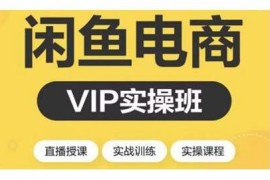 2021闲鱼副业月入过万进阶课程，掌握闲鱼电商所需的各项技能