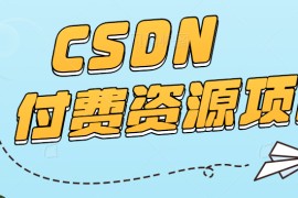 CSDN付费资源项目，不用引流，无需做客服，后期被动收入，每天稳定300+