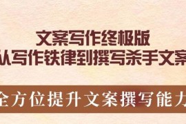 文案写作终极版，从写作铁律到撰写杀手文案，全方位提升文案撰写能力