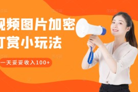 视频图片加密打赏小玩法，网赚人必学必会的小技能，这样做一天妥妥收入100+