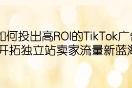 如何投出高ROI·TikTok广告，开拓独立站卖家流量新蓝海