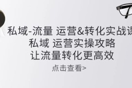 私域流量运营转化实操课：私域运营实操攻略，让流量转化更高效