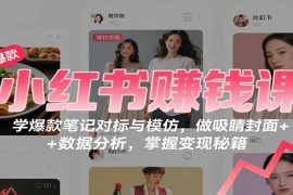小红书赚钱课：学爆款笔记对标与模仿，做吸睛封面 + 数据分析，掌握变现秘籍