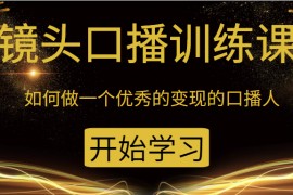 镜头口播训练课：如何做一个优秀的变现的口播人（34节视频课）
