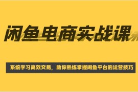 闲鱼电商实战课，系统学习高效交易，助你熟练掌握闲鱼平台的运营技巧