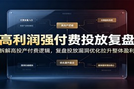 高利润强付费投放复盘：拆解高投产付费逻辑，复盘投放漏洞优化拉升整体盈利