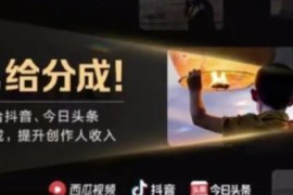 最新中视频变现最稳最长期的项目，一个账号月入几万很简单