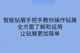 智能钻展手把手教你操作钻展，全方面了解和运用，让钻展更加简单