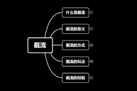  蚊子团队实战引流：长期有效的截流技术＋百度被动引流系统2.0 