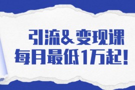引流变现课：分享一整套流量方法以及各个渠道收入，每月最低1万起