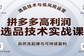 拼多多高利润选品技术实战课，手把手教学自然流高投产起爆，实现低风险可持续盈利