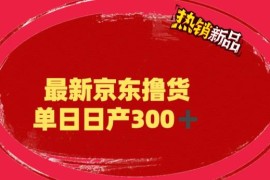 外面最高收费到3980 京东撸货项目 号称日产300+的项目（详细揭秘教程
