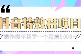 号称3个月赚8万的抖音特效君保姆级教程，操作相对简单，新手一个月搞5000+ 