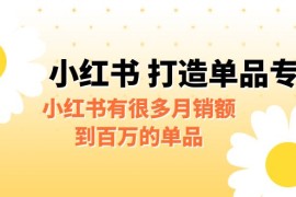 某公众号付费文章《小红书打造单品专家》小红书有很多月销额到百万的单品