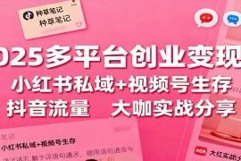 2025多平台创业变现课：小红书私域+视频号生存+抖音流量，大咖实战分享