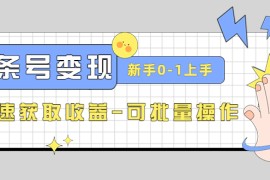头条号实操变现课：新手0-1轻松上手，快速获取收益-可批量操作