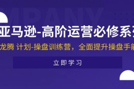 亚马逊高阶运营必修系列，龙腾计划-操盘训练营，全面提升操盘手能力