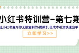 小红书特训营-第七期让小红书变为你无限复制的提款机低成本引流快速出单