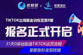 优联荟第8期TikTok出海掘金训练营,掌握涨粉变现技能价值2999元